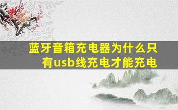 蓝牙音箱充电器为什么只有usb线充电才能充电