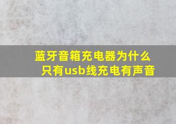 蓝牙音箱充电器为什么只有usb线充电有声音