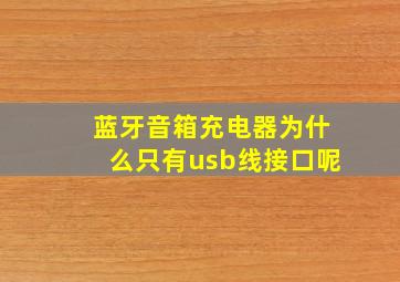 蓝牙音箱充电器为什么只有usb线接口呢