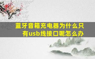 蓝牙音箱充电器为什么只有usb线接口呢怎么办