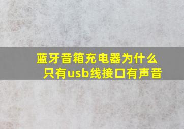 蓝牙音箱充电器为什么只有usb线接口有声音