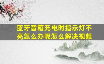 蓝牙音箱充电时指示灯不亮怎么办呢怎么解决视频