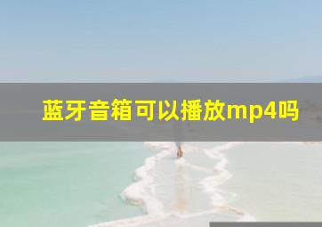 蓝牙音箱可以播放mp4吗