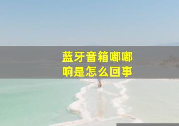 蓝牙音箱嘟嘟响是怎么回事