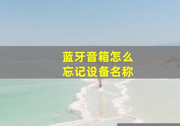 蓝牙音箱怎么忘记设备名称