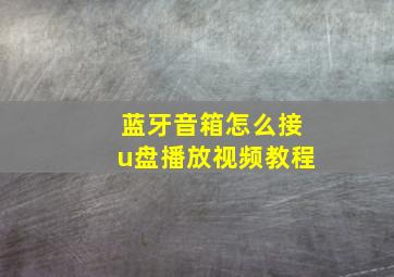 蓝牙音箱怎么接u盘播放视频教程