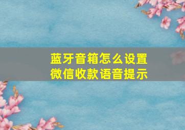 蓝牙音箱怎么设置微信收款语音提示