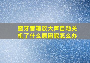 蓝牙音箱放大声自动关机了什么原因呢怎么办