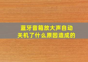 蓝牙音箱放大声自动关机了什么原因造成的