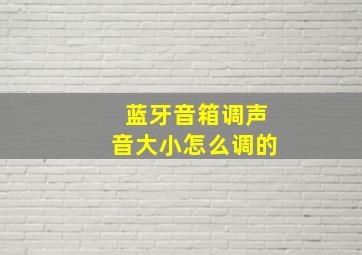 蓝牙音箱调声音大小怎么调的