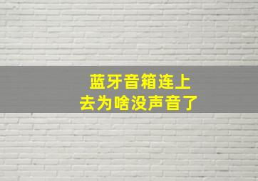 蓝牙音箱连上去为啥没声音了