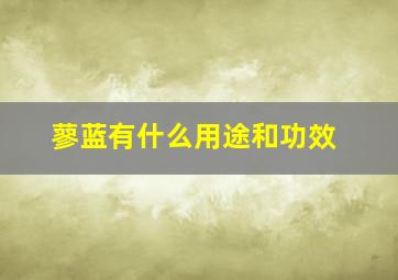 蓼蓝有什么用途和功效