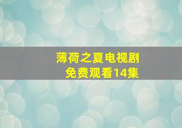 薄荷之夏电视剧免费观看14集