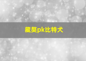 藏獒pk比特犬