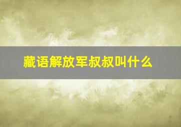 藏语解放军叔叔叫什么