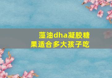 藻油dha凝胶糖果适合多大孩子吃