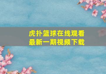 虎扑篮球在线观看最新一期视频下载