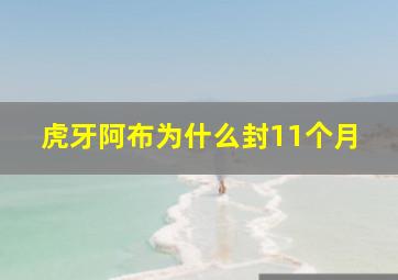 虎牙阿布为什么封11个月