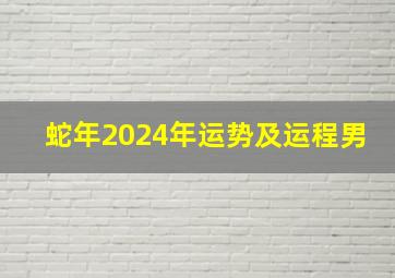 蛇年2024年运势及运程男