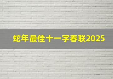 蛇年最佳十一字春联2025