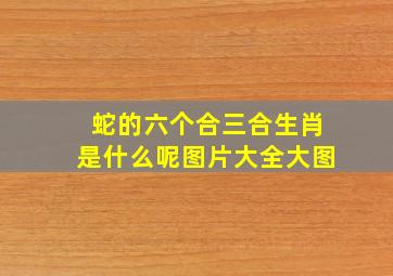 蛇的六个合三合生肖是什么呢图片大全大图