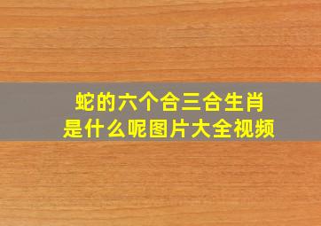 蛇的六个合三合生肖是什么呢图片大全视频