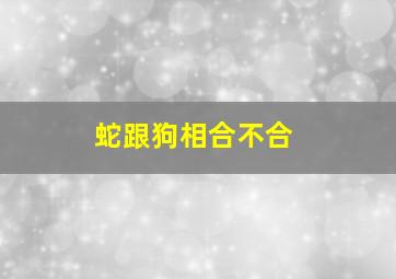 蛇跟狗相合不合