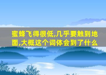 蜜蜂飞得很低,几乎要触到地面,大概这个词体会到了什么