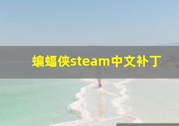 蝙蝠侠steam中文补丁