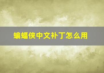 蝙蝠侠中文补丁怎么用