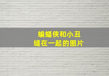 蝙蝠侠和小丑缝在一起的图片