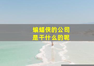 蝙蝠侠的公司是干什么的呢