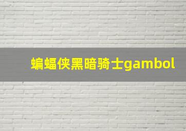 蝙蝠侠黑暗骑士gambol