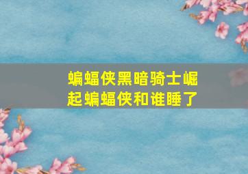 蝙蝠侠黑暗骑士崛起蝙蝠侠和谁睡了