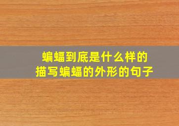 蝙蝠到底是什么样的描写蝙蝠的外形的句子