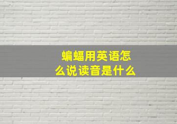 蝙蝠用英语怎么说读音是什么