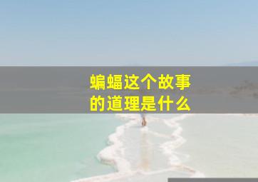 蝙蝠这个故事的道理是什么