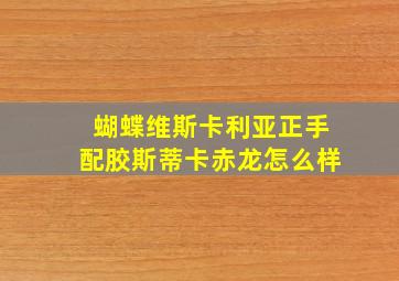 蝴蝶维斯卡利亚正手配胶斯蒂卡赤龙怎么样