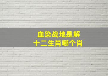 血染战地是解十二生肖哪个肖