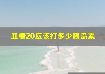 血糖20应该打多少胰岛素