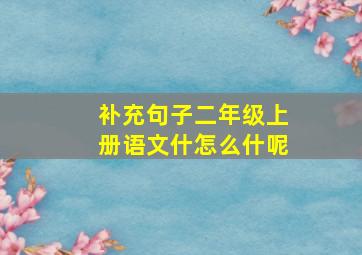 补充句子二年级上册语文什怎么什呢