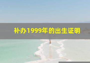 补办1999年的出生证明