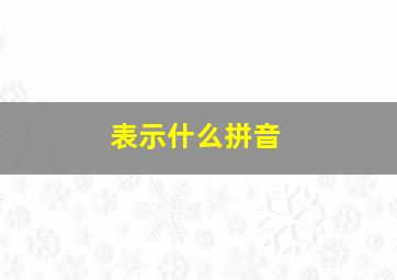 表示什么拼音