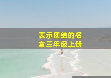 表示团结的名言三年级上册