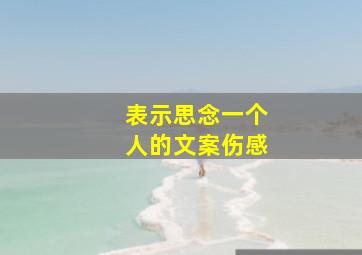 表示思念一个人的文案伤感