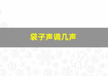 袋子声调几声