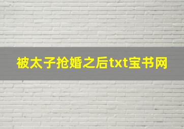 被太子抢婚之后txt宝书网