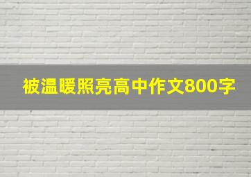 被温暖照亮高中作文800字