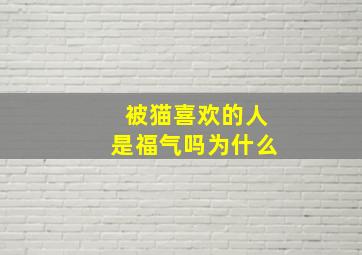 被猫喜欢的人是福气吗为什么