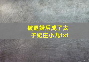 被退婚后成了太子妃庄小九txt